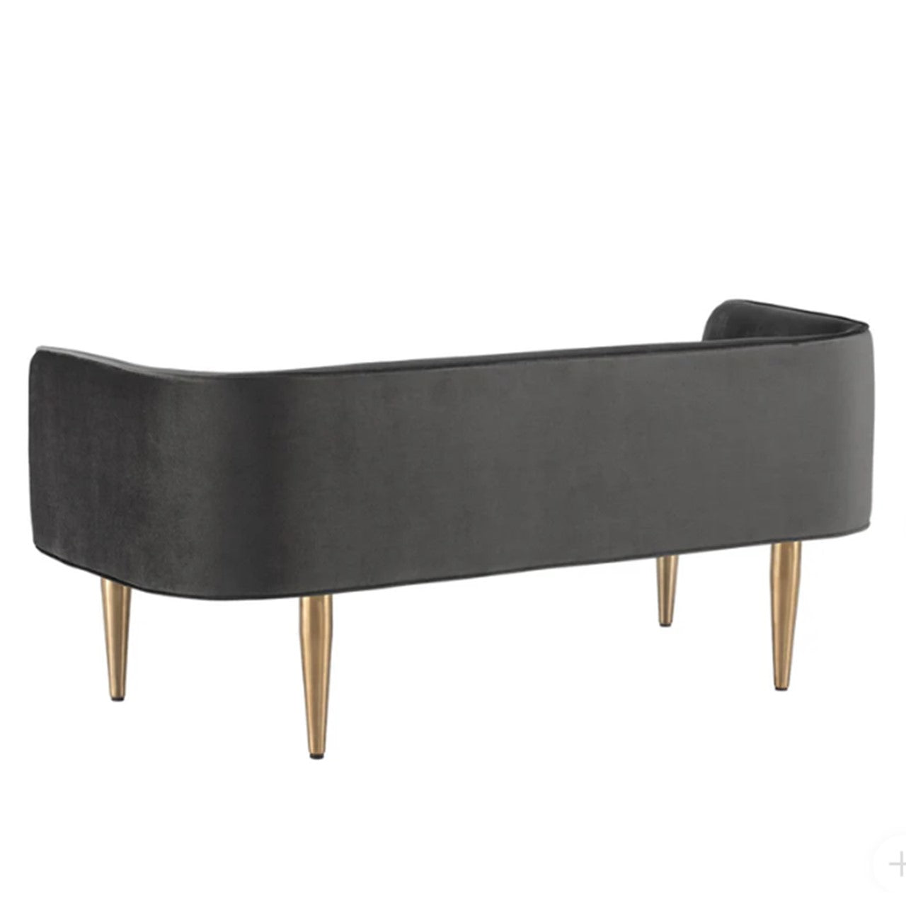 SP - BANC SAMMY