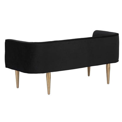 SP - BANC SAMMY